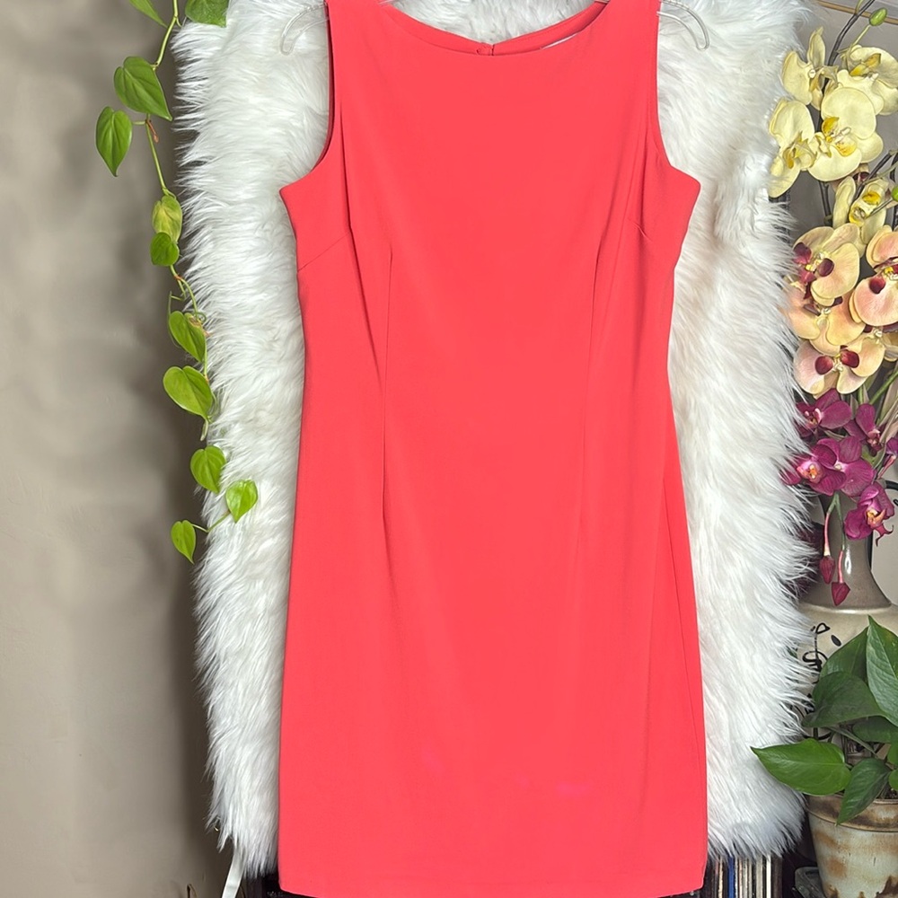 Amanda Smith formal dress